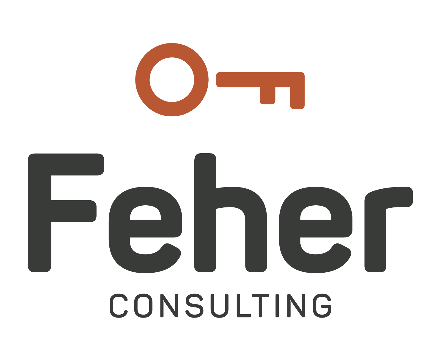 Feher Consulting logo