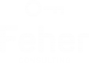 Logo-feher-consulting