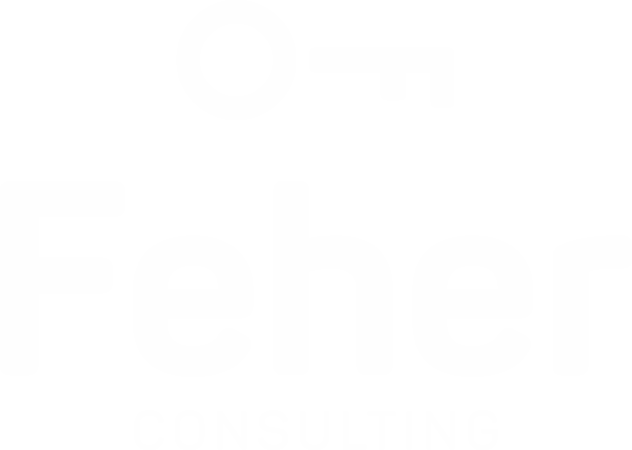 Feher Consulting