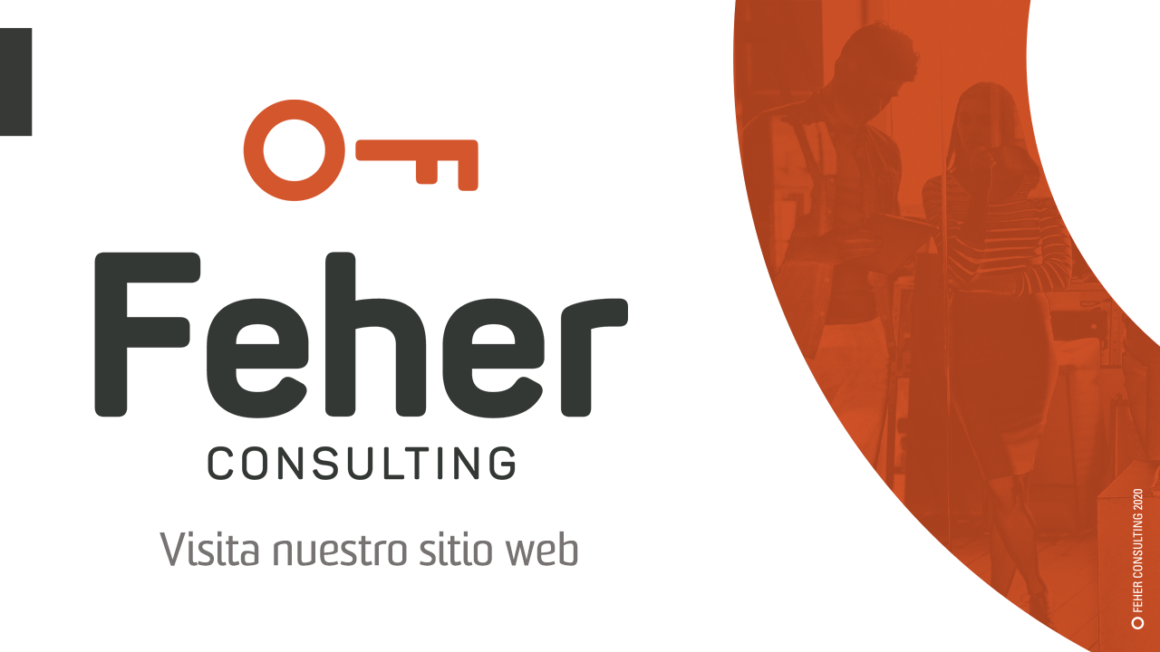 Feher Consulting
