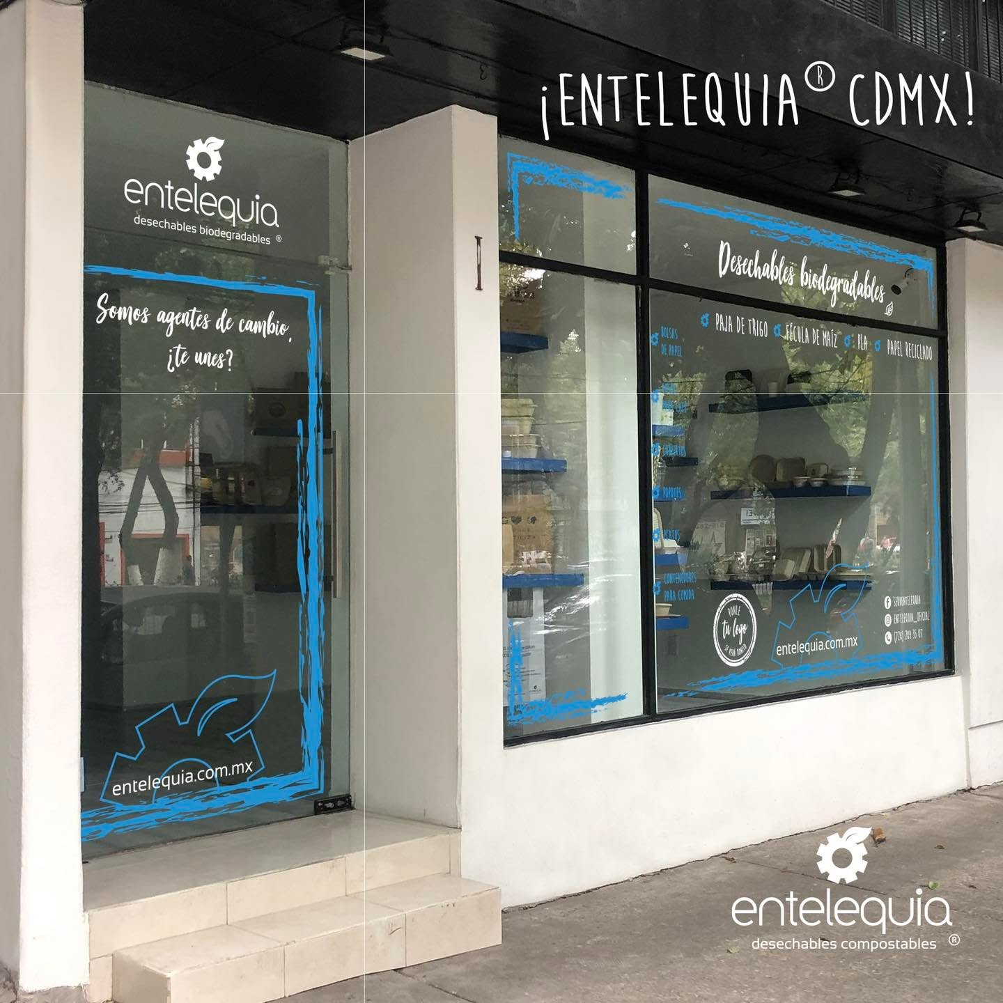 Entelequia